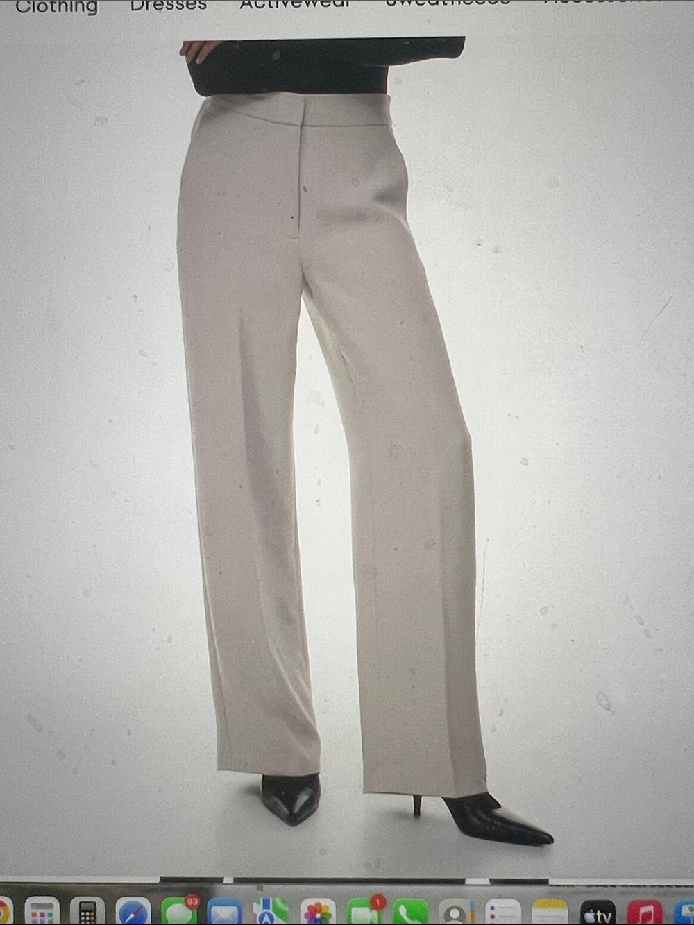 Aritzia Wilfred “Alanya” Wide-Leg Trousers. Ashen color. Size 6.